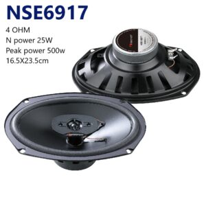 NSE6917